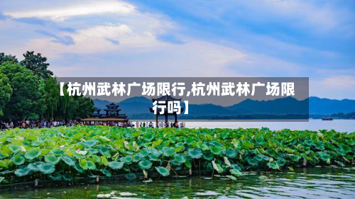 【杭州武林广场限行,杭州武林广场限行吗】-第3张图片