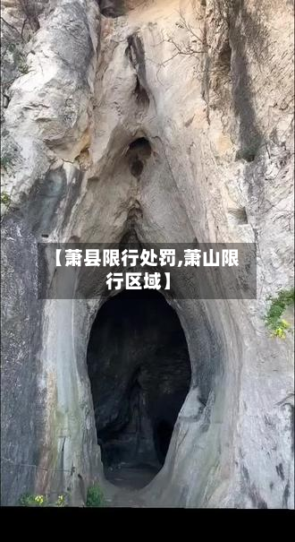 【萧县限行处罚,萧山限行区域】