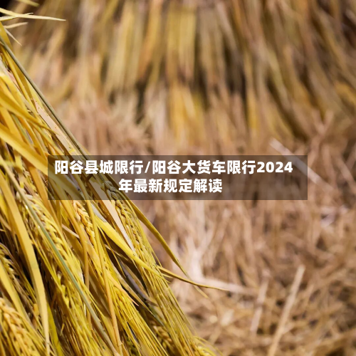 阳谷县城限行/阳谷大货车限行2024年最新规定解读-第3张图片