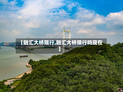 【融汇大桥限行,融汇大桥限行吗现在】-第3张图片