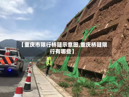 【重庆市限行桥隧示意图,重庆桥隧限行有哪些】-第3张图片