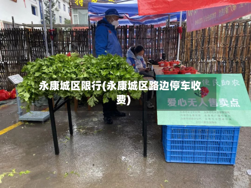 永康城区限行(永康城区路边停车收费)