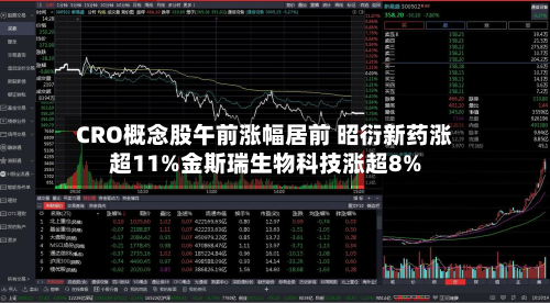 CRO概念股午前涨幅居前 昭衍新药涨超11%金斯瑞生物科技涨超8%-第2张图片
