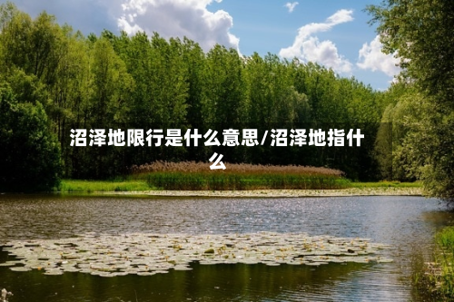 沼泽地限行是什么意思/沼泽地指什么