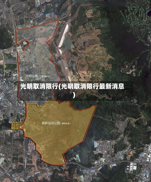 光明取消限行(光明取消限行最新消息)