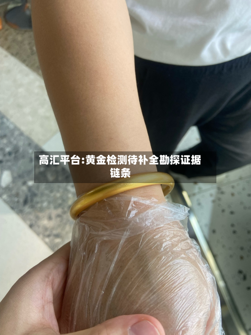 高汇平台:黄金检测待补全勘探证据链条-第2张图片