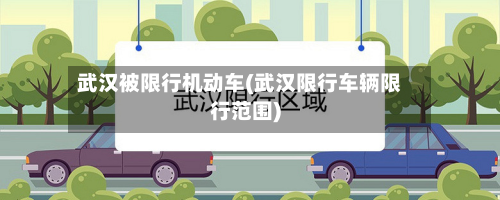 武汉被限行机动车(武汉限行车辆限行范围)-第2张图片
