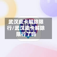 武汉皮卡解除限行/武汉皮卡解除限行了吗-第2张图片