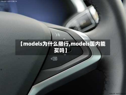 【models为什么限行,models国内能买吗】-第2张图片