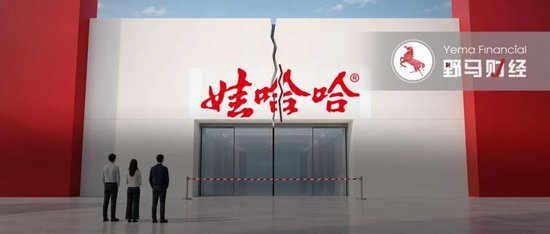 娃哈哈员工之怒：虎林之后	，杭州	、沈阳、南京在行动！