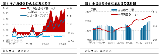 “蛋”说无妨：蛋价高台跳水，本轮低点究竟在哪？
