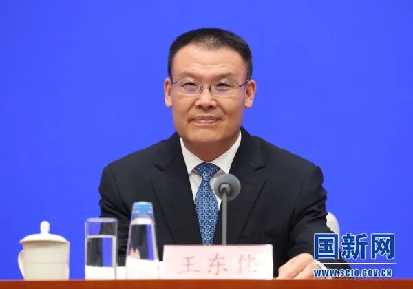 王东伟任安徽省代省长